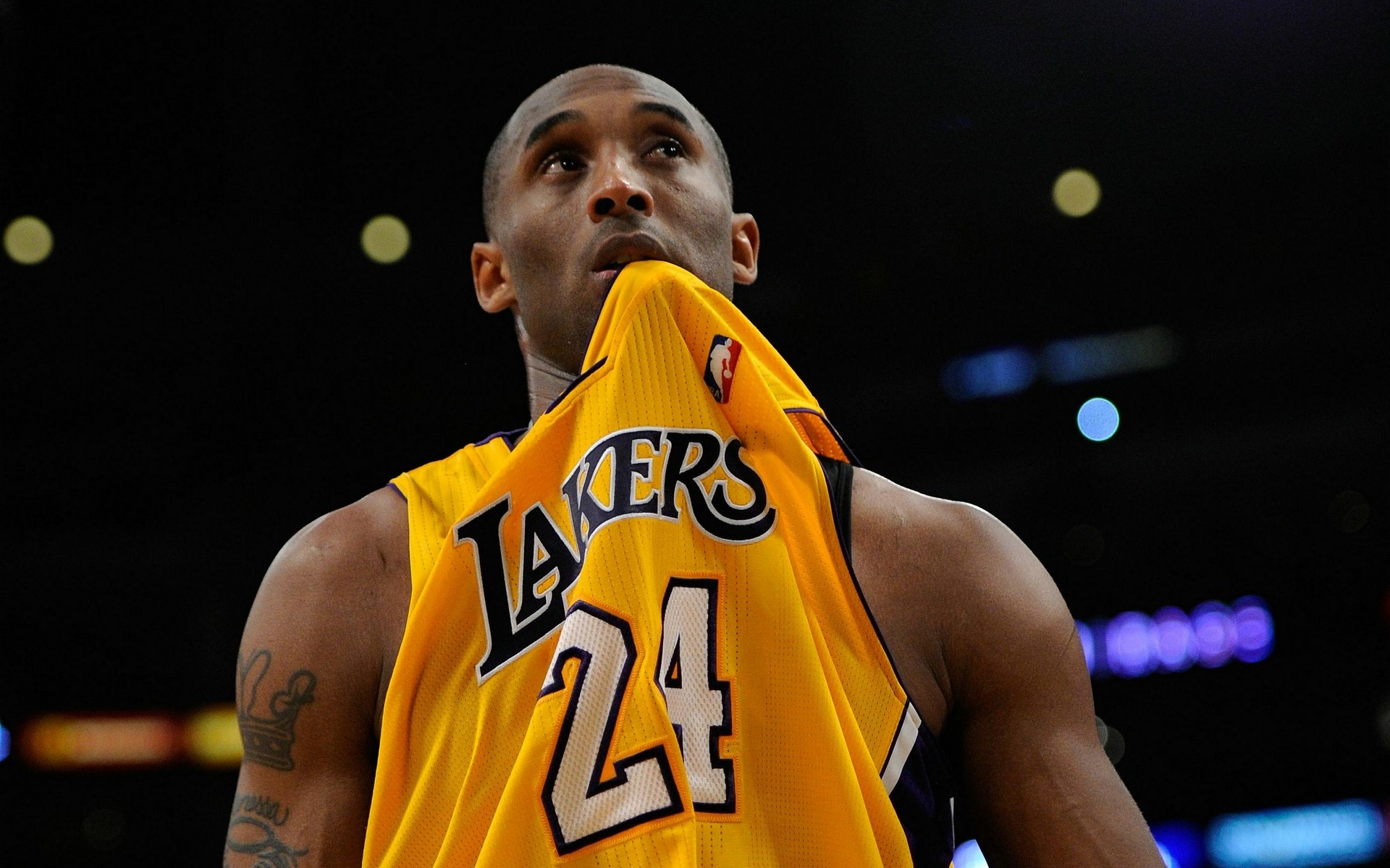 16285655741758ac187a38b58443d